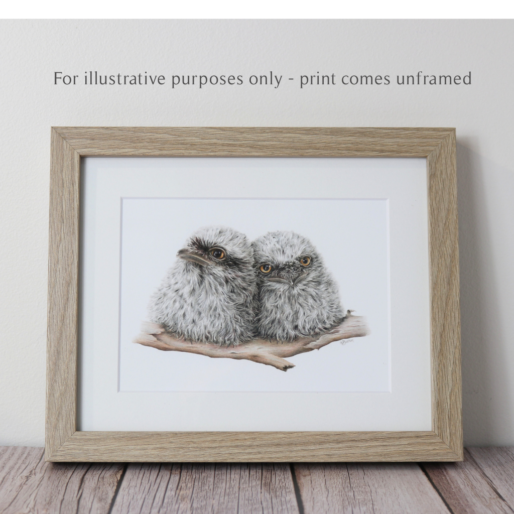 Tawny Frogmouth Chicks | Australian Wildlife Art Print