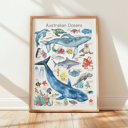 Australian Oceans Poster - A3 size
