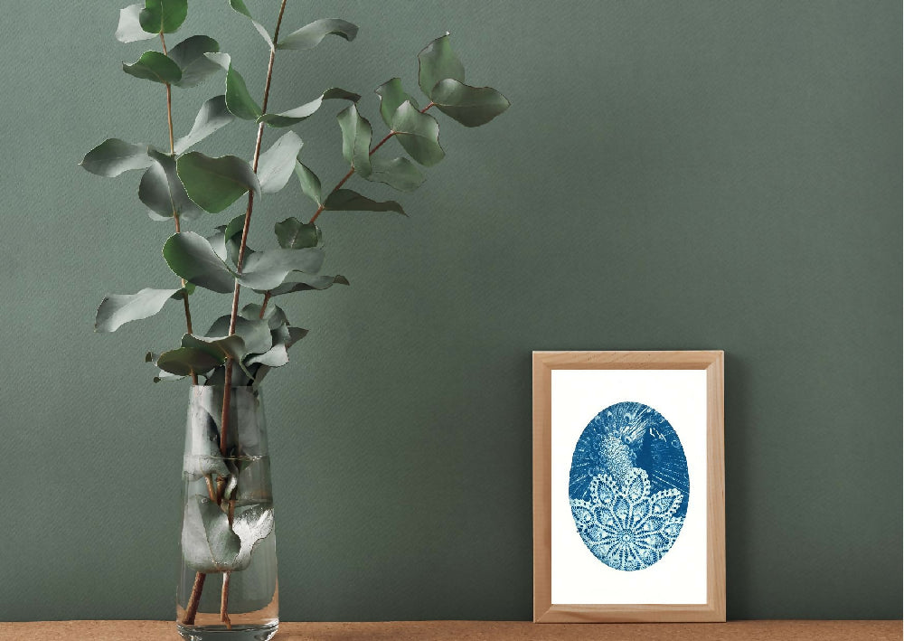 LACEY – peacock cyanotype print