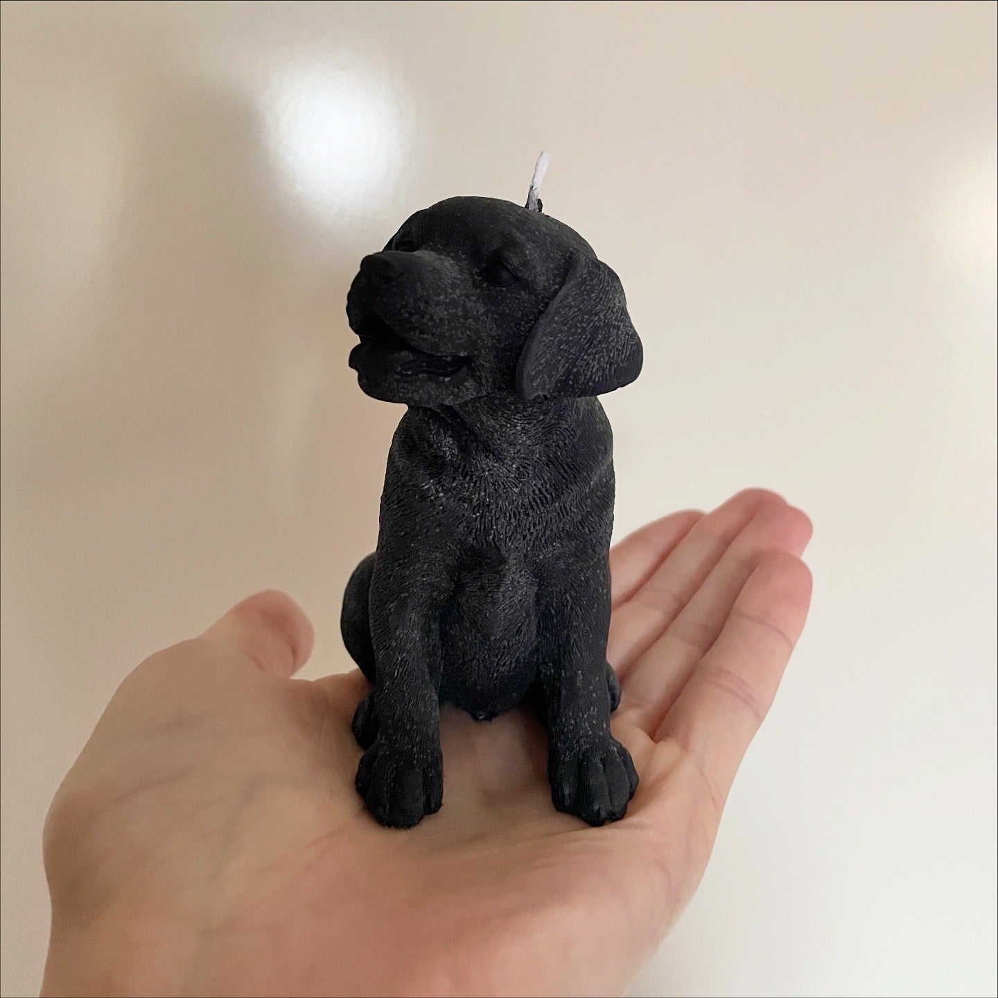 Labrador Pillar Candle