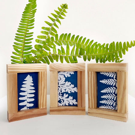 Botanical Art, set of three original cyanotype artworks in handmade frames, ferns