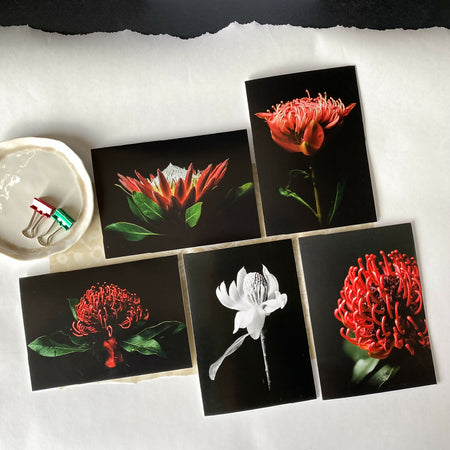 Australiana Blank Card Bundle Pack of 5 – Flowers Don’t Tell, They Show