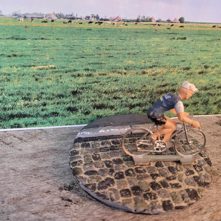 Mini road cyclist model cycling desk gift for him 3d art