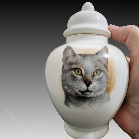 Pottery Ash Urns for Cats