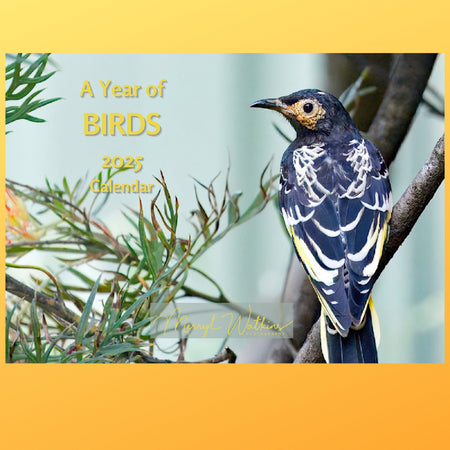 2025 Calendar - A Year of Birds - A4 Photographic Calendar