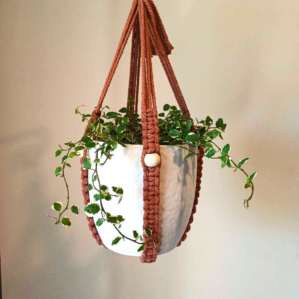 482110522_1169842011220592_5194153958607980473_n