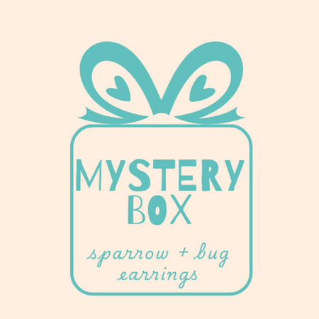 Earrings Mystery Box