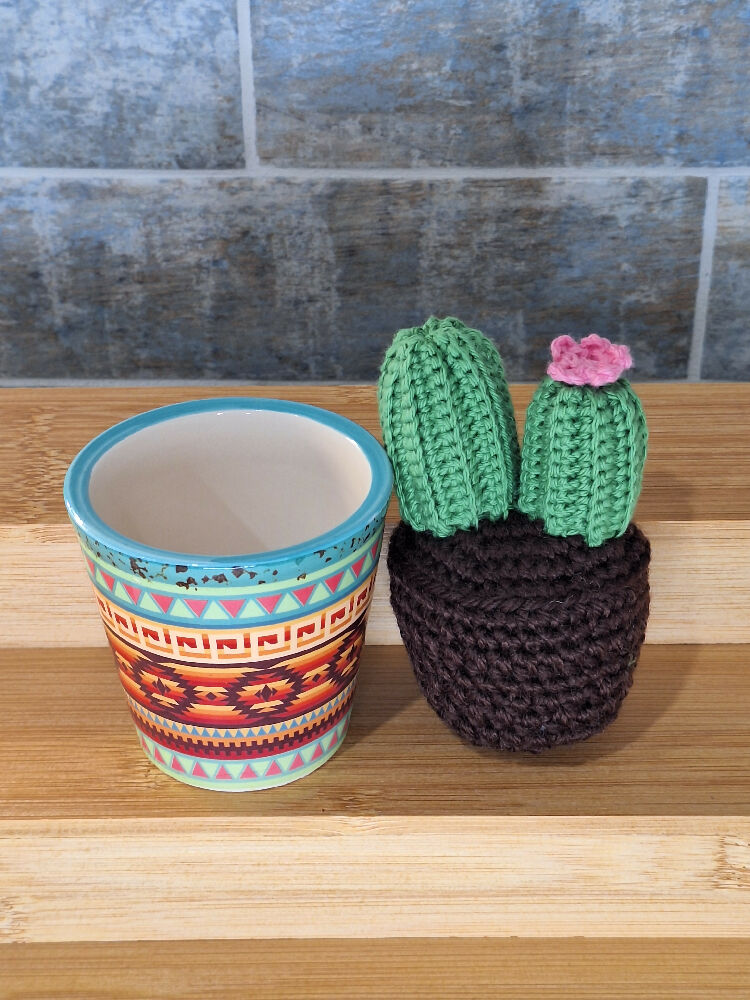cactus out of pot