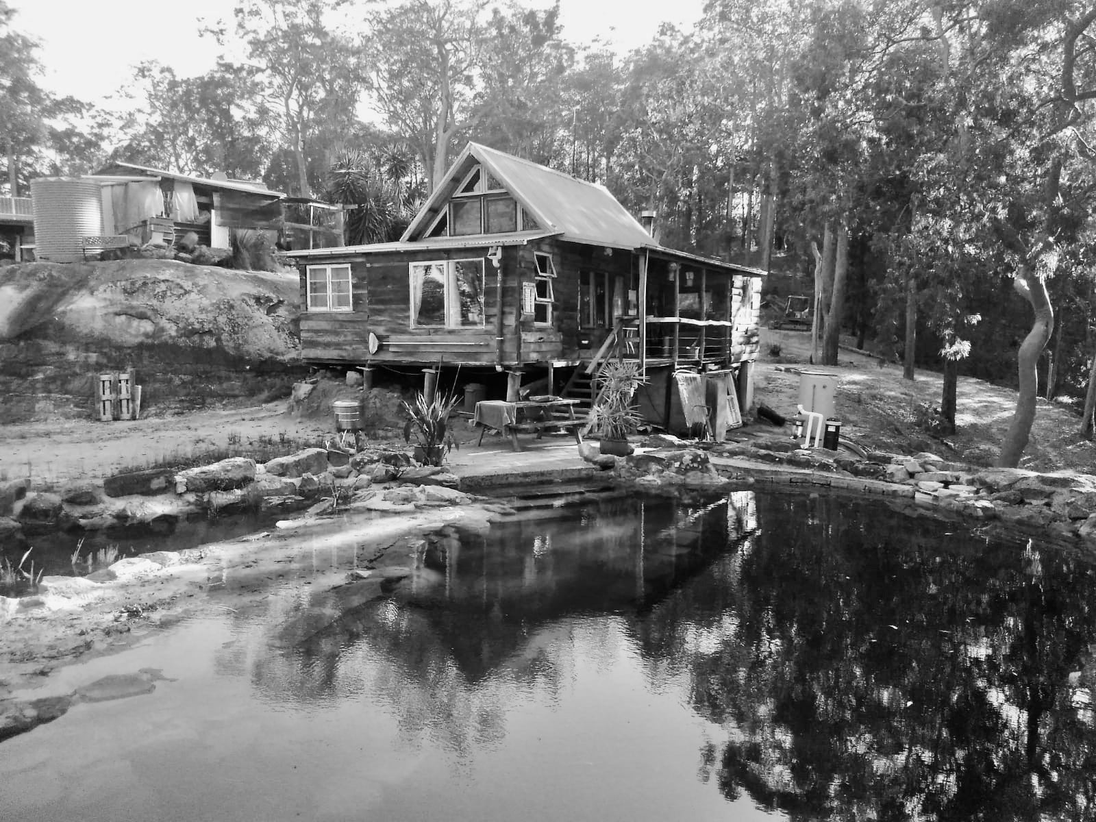 DANDELION BUTTER UNSCENTED