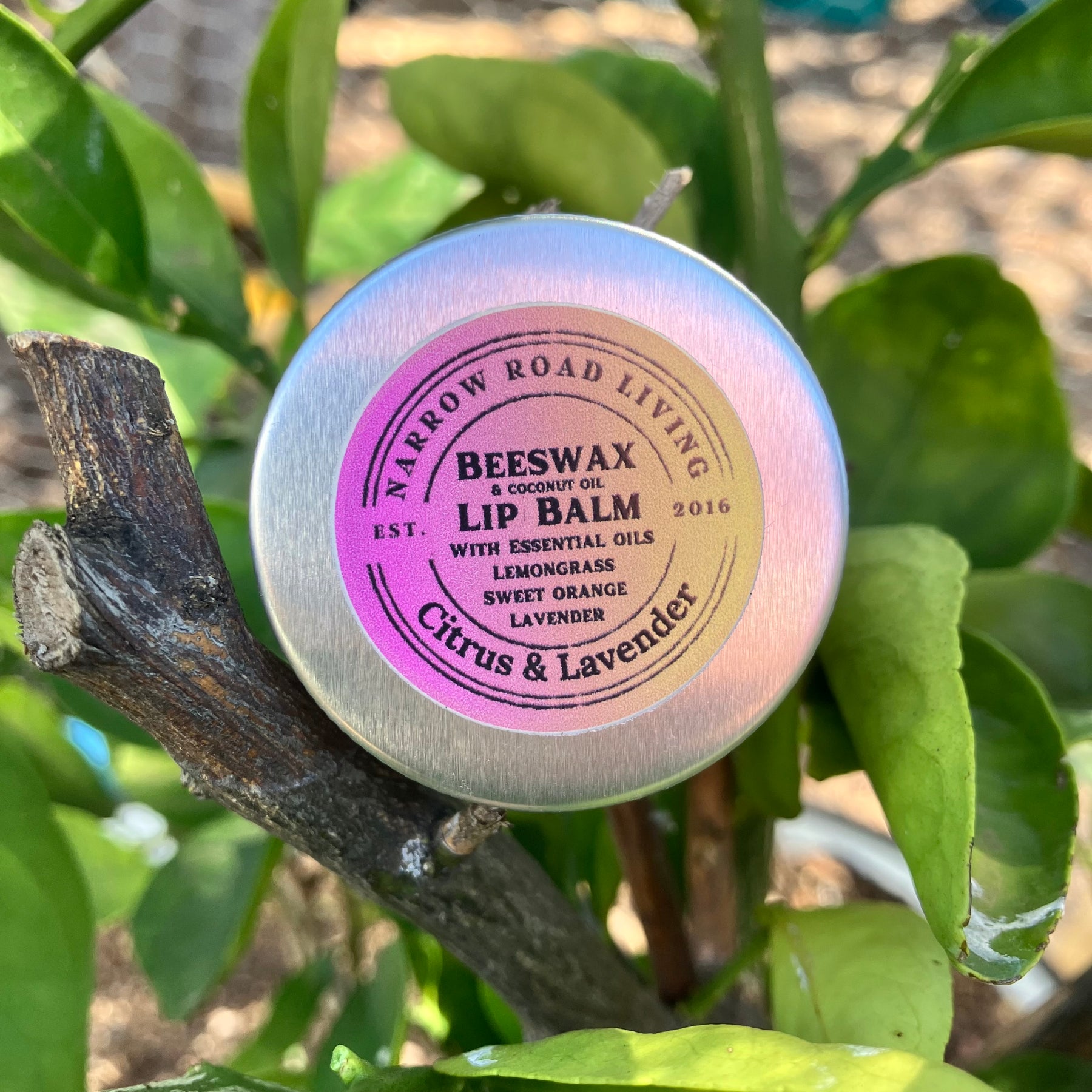 Beeswax Lip Balm - with Citrus & Lavender essential oils