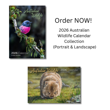 2026 Australian Wildlife Calendar Collection – Portrait & Landscape Set
