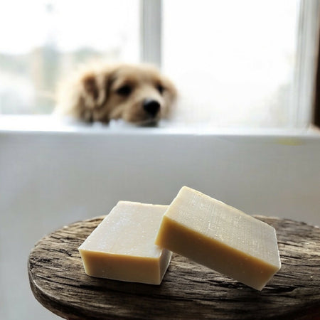 Pet Shampoo Bars - Unscented & Lemon Scented Eucalyptus, Lemongrass & Lavender