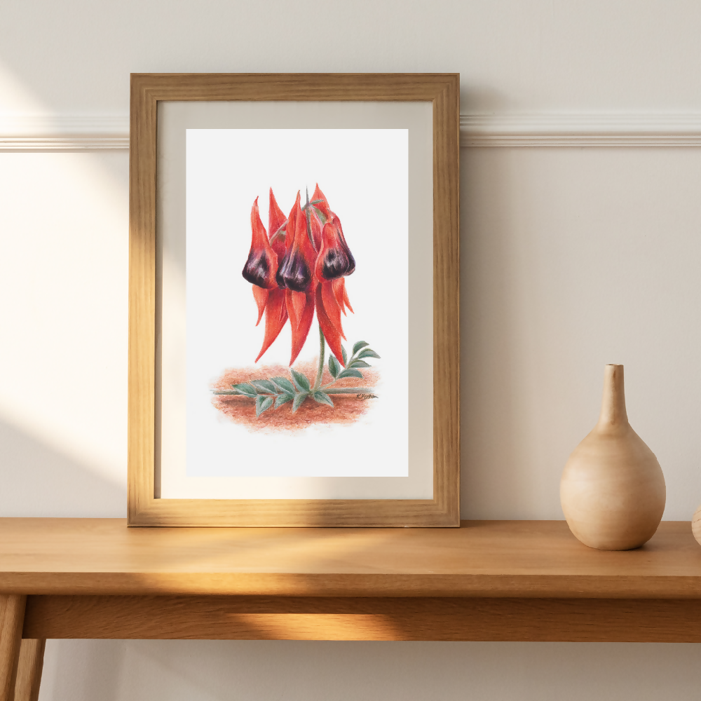 Australian-artist-wall-art-sturts-desert-pea-framed