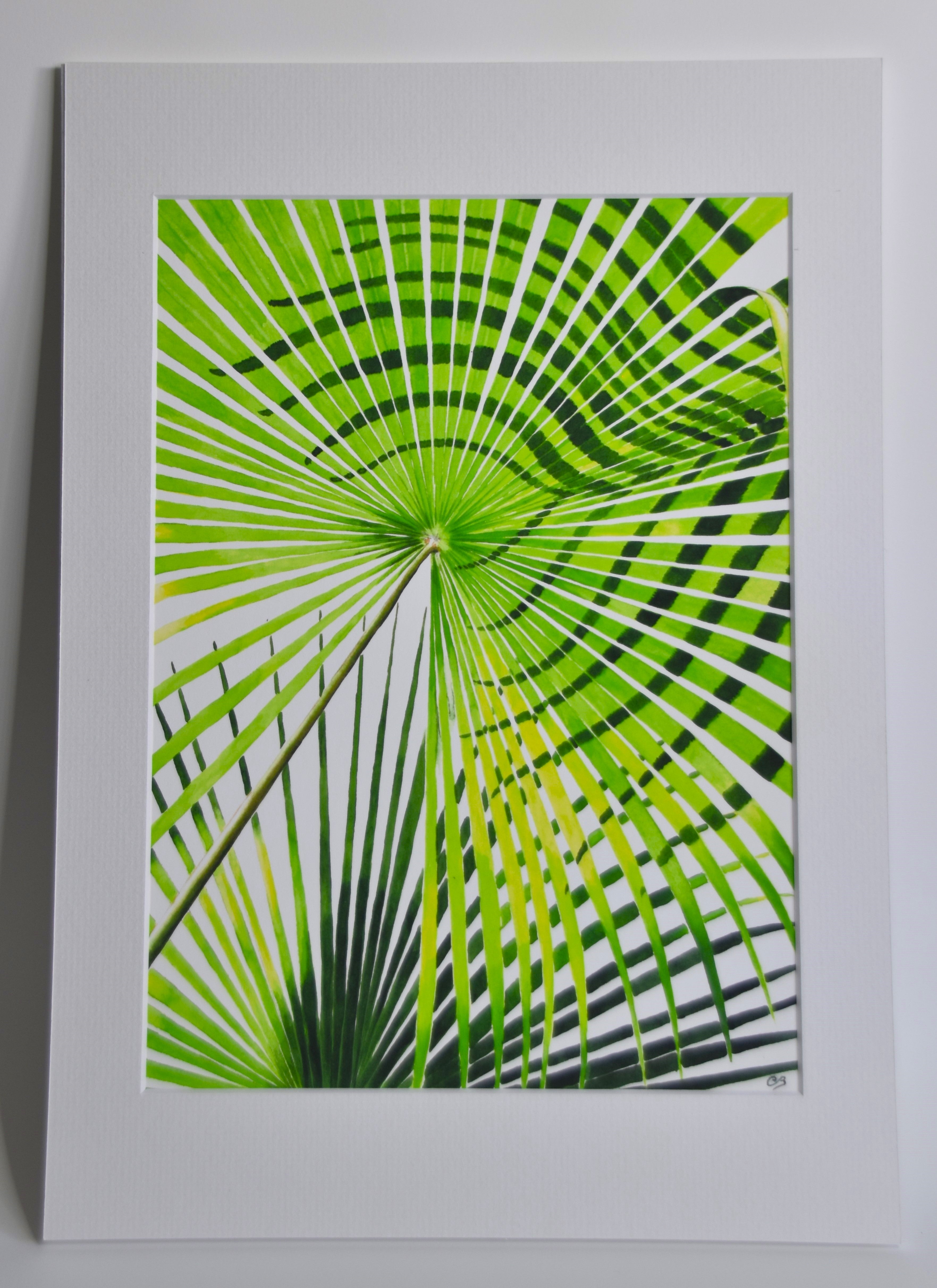 Cabbage-Tree Palms (Print)