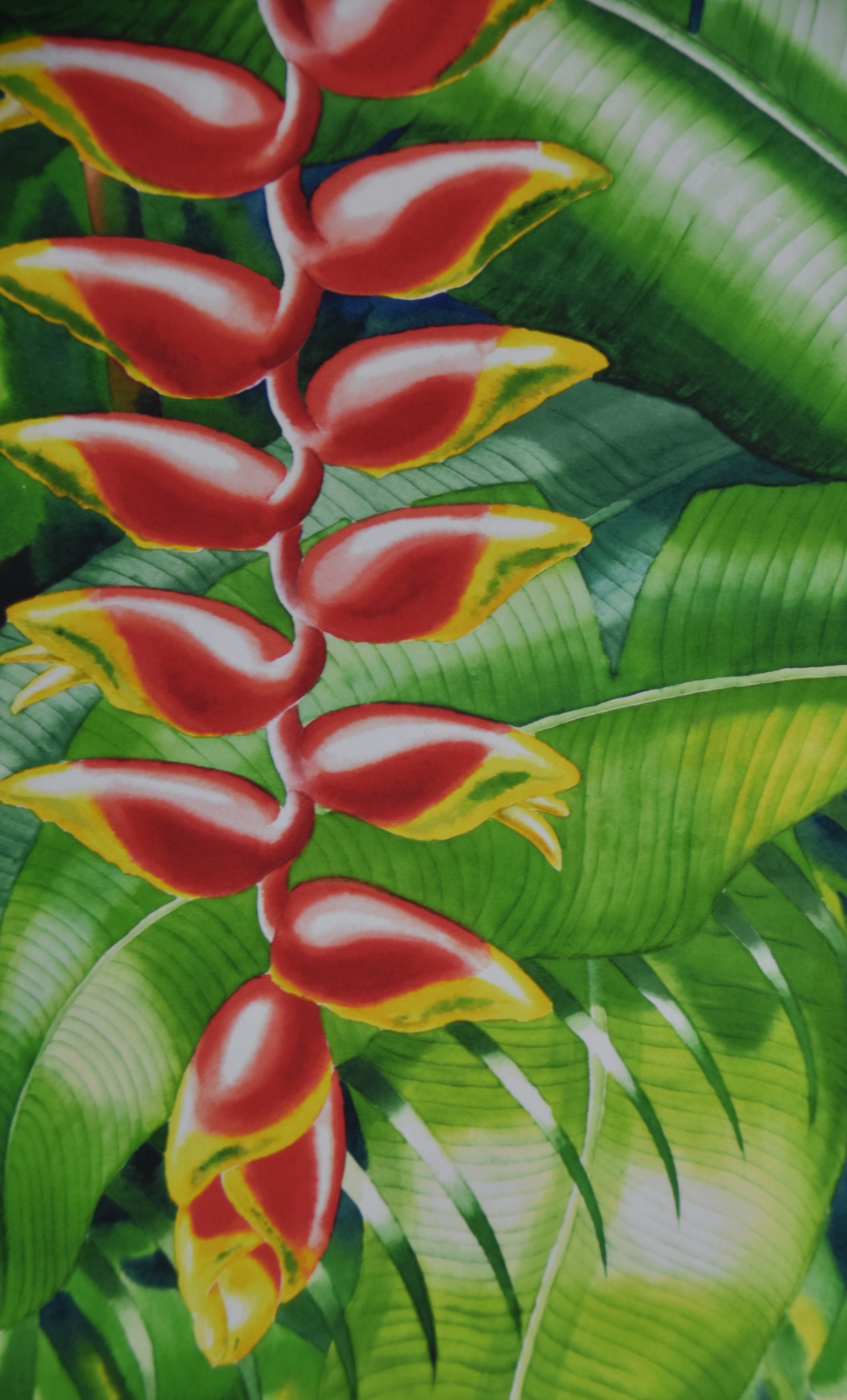 Heliconia (Print)