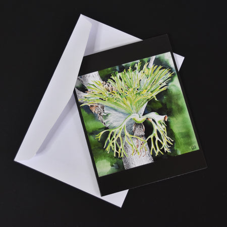 Blank Greeting Card: Staghorn Fern (2)