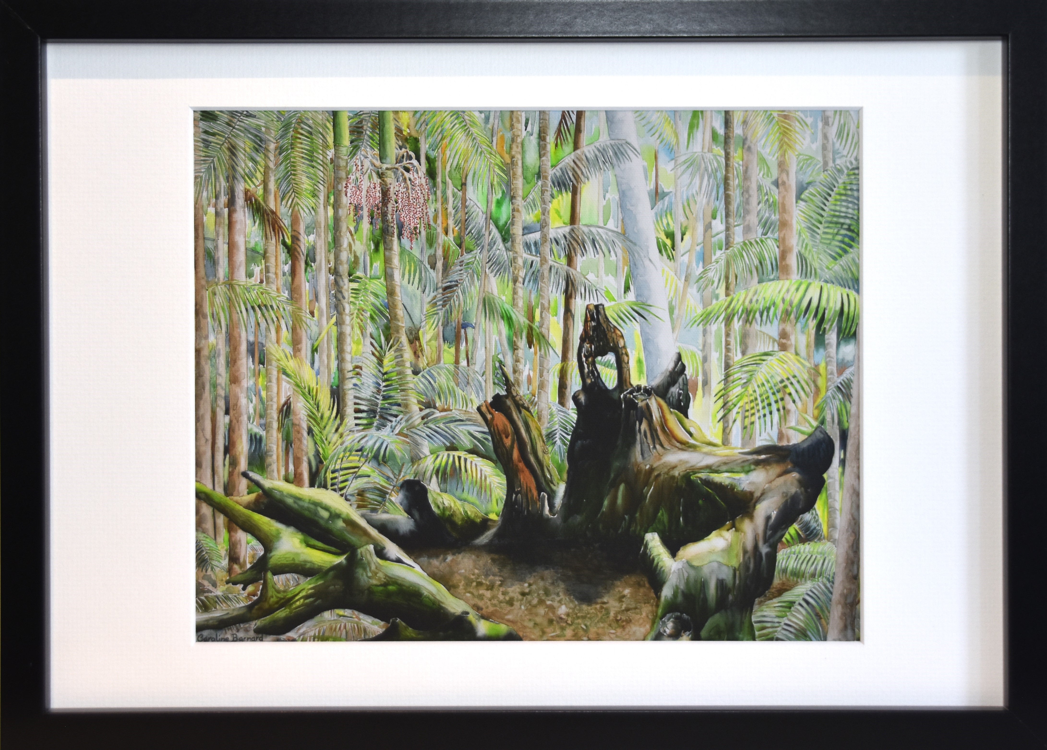 'Nature's throne' (Print)