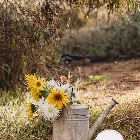 Whimsy in the Watering Can #3