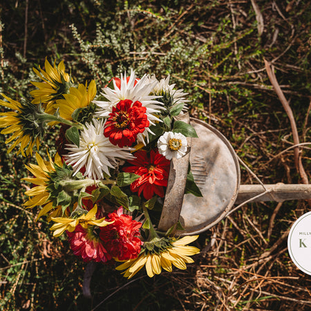 Whimsy in a Watering Can #5