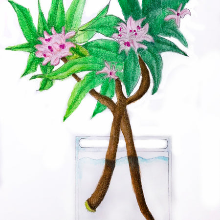 Daphne - Original Art Greeting Card