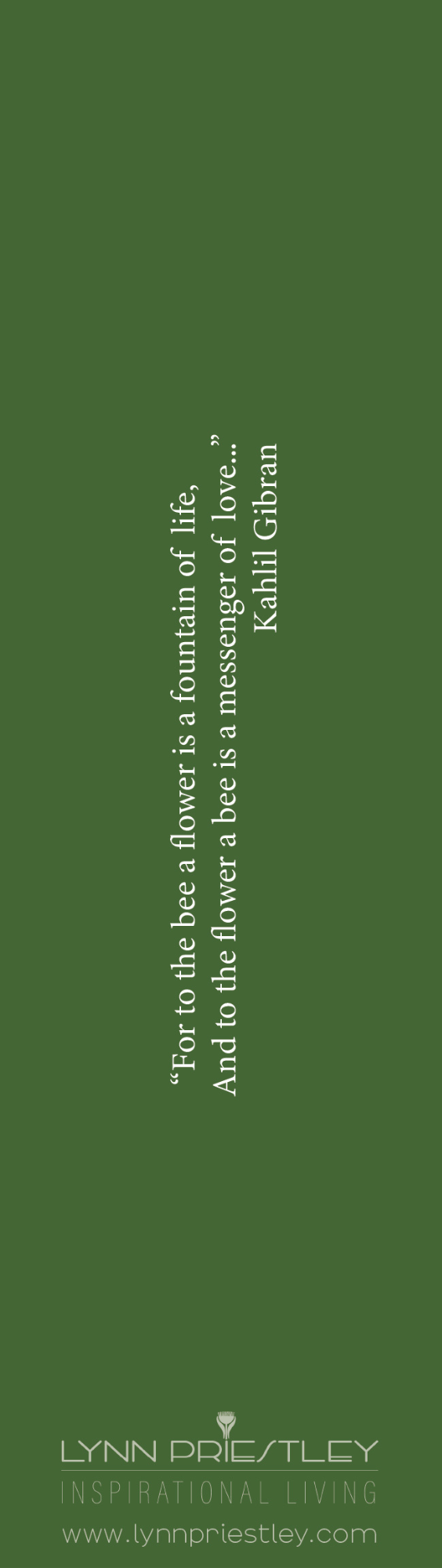 Country Ducks Bookmark