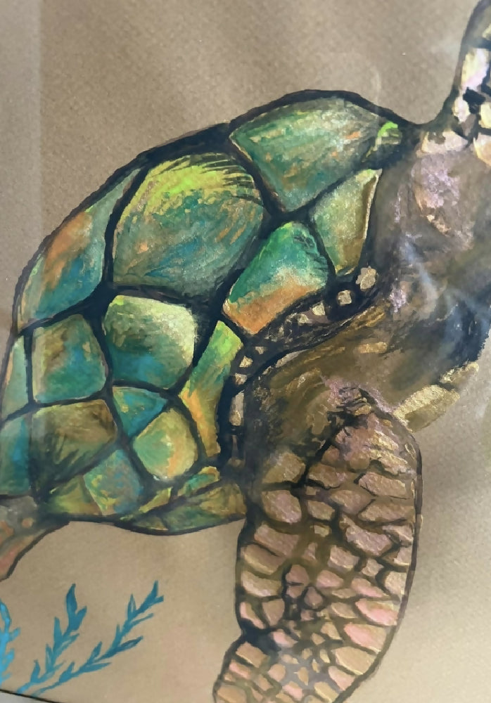 watercolor study of a sea turtle , framed