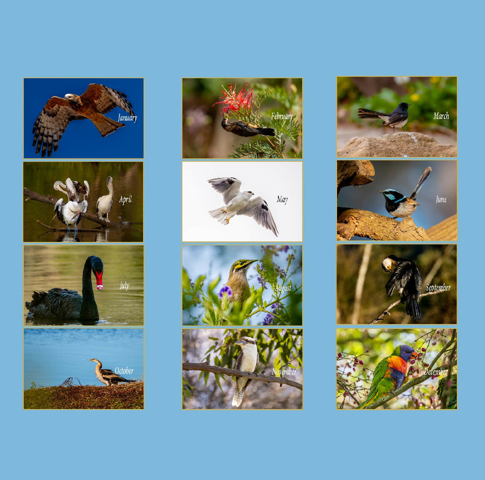 Australian Birds - 2025 Calendar