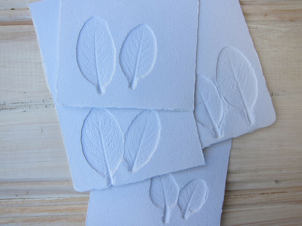 sage embossed 3