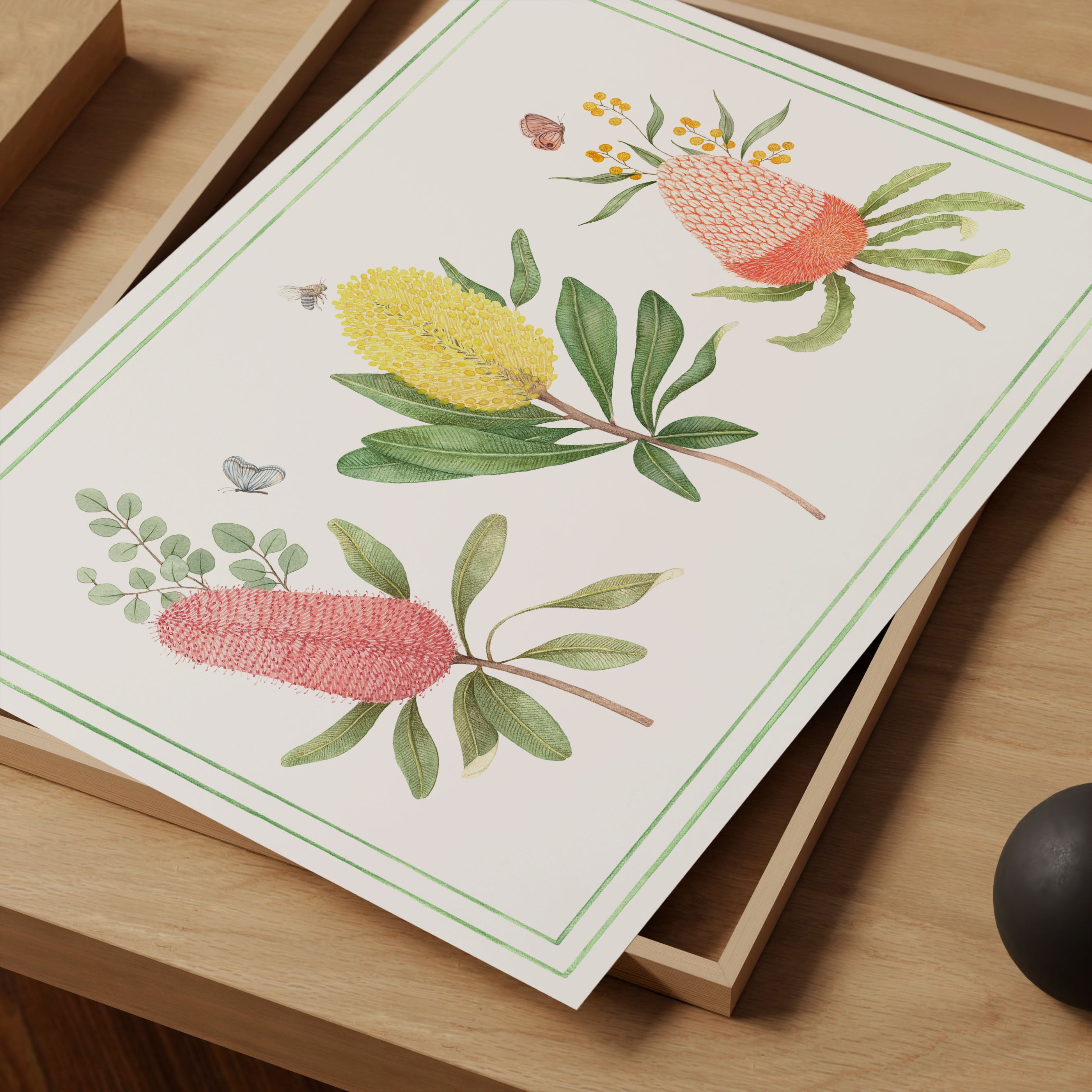 Banksia Art Print