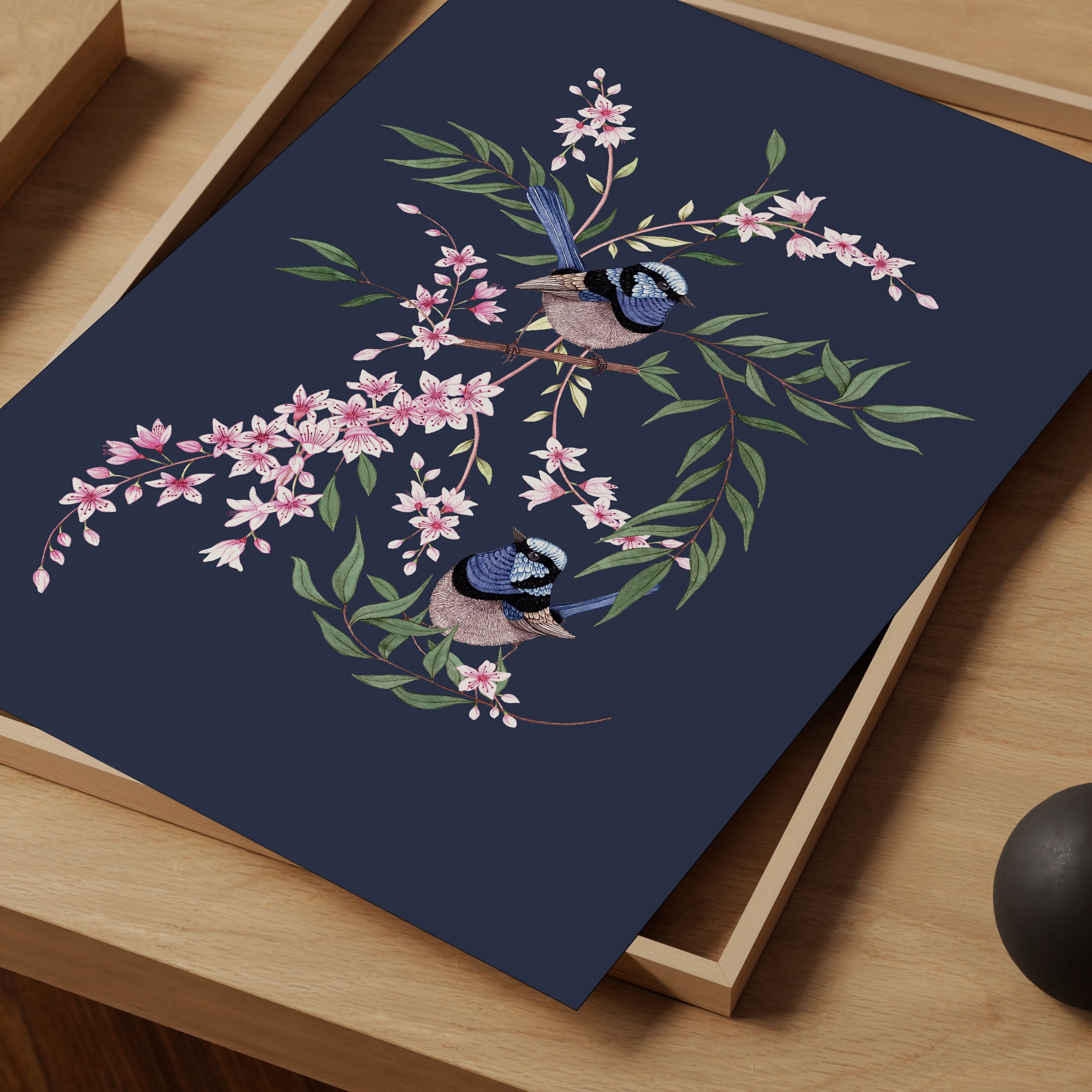 Superb Fairywren Art Print