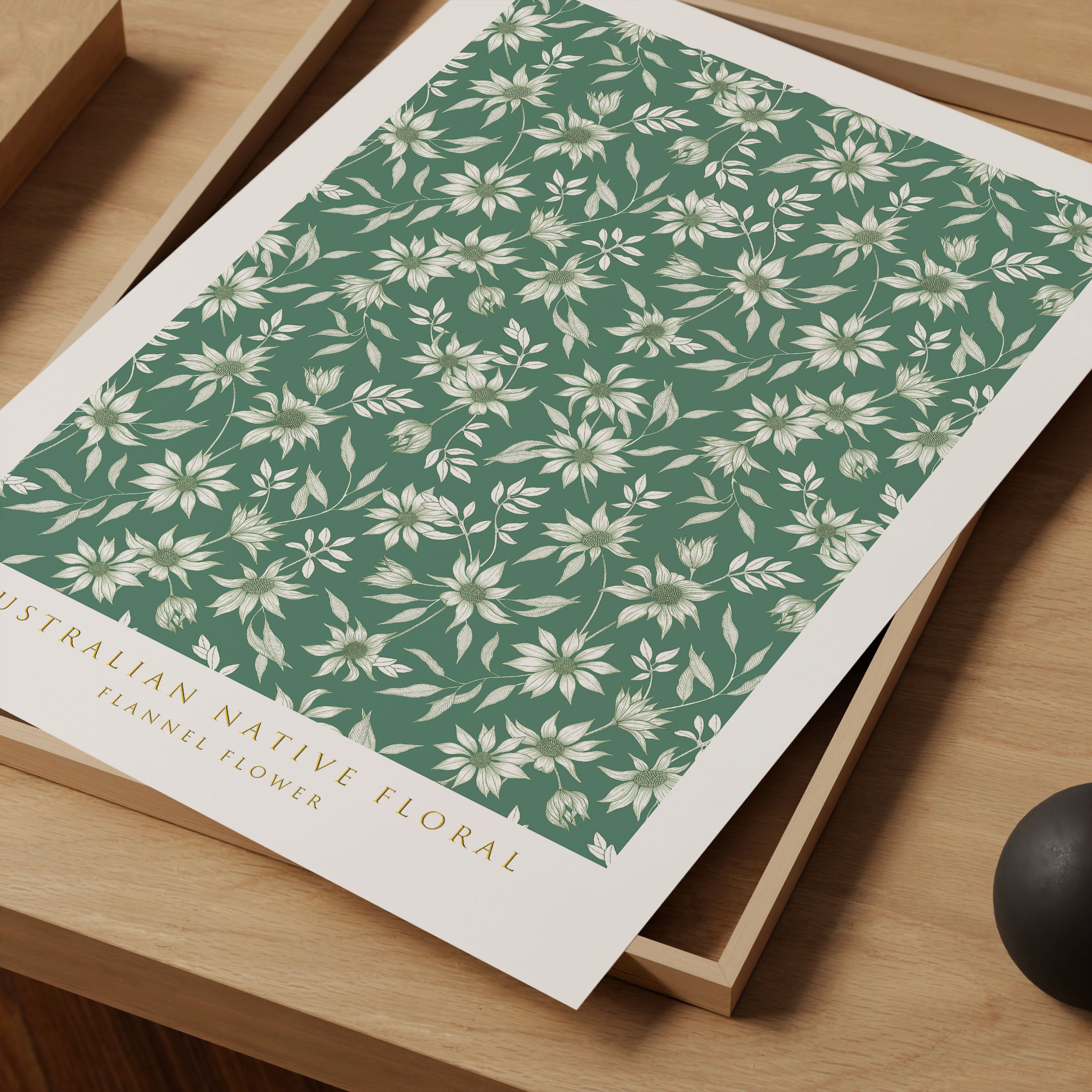 Flannel Flower Art Print