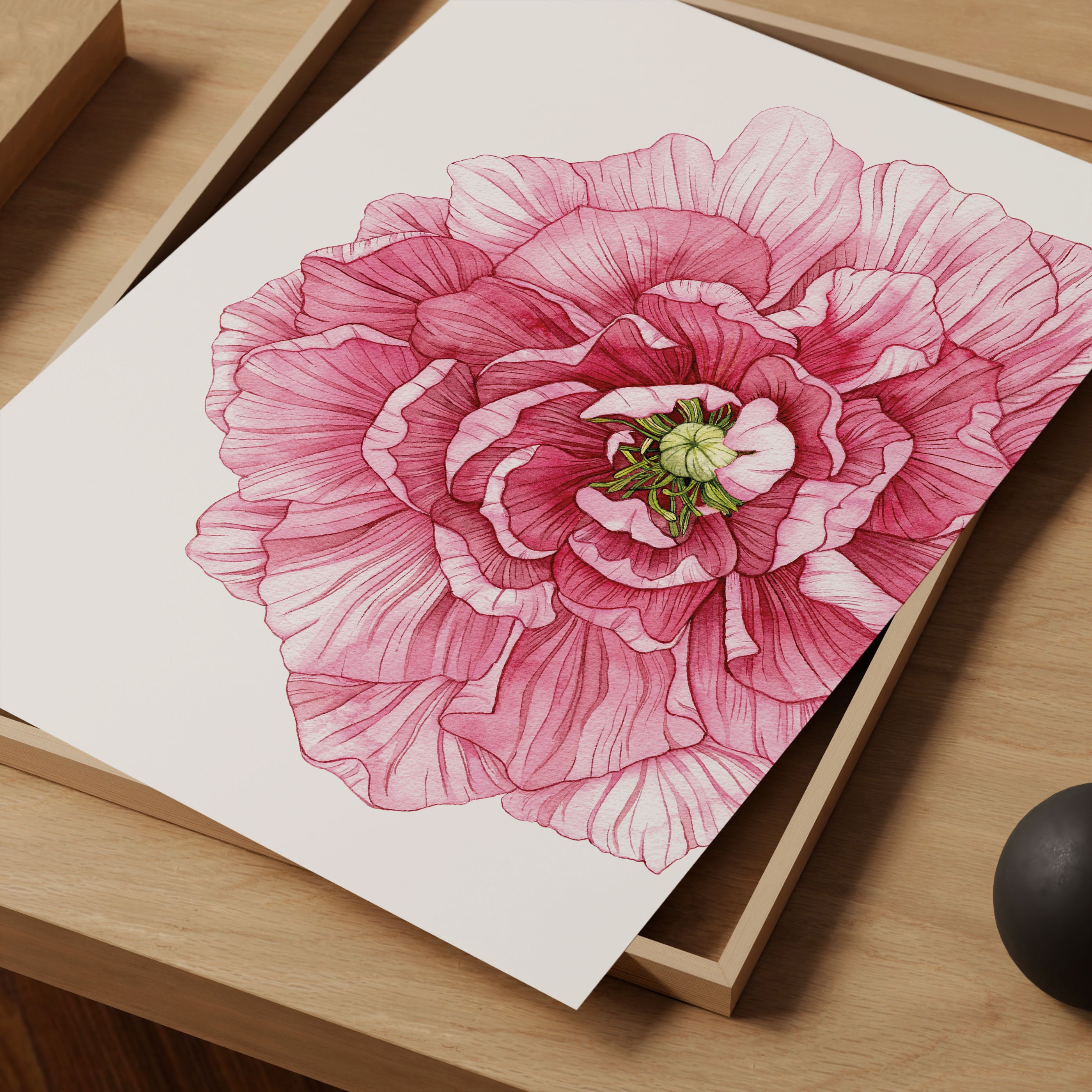 Pink Peony Art Print