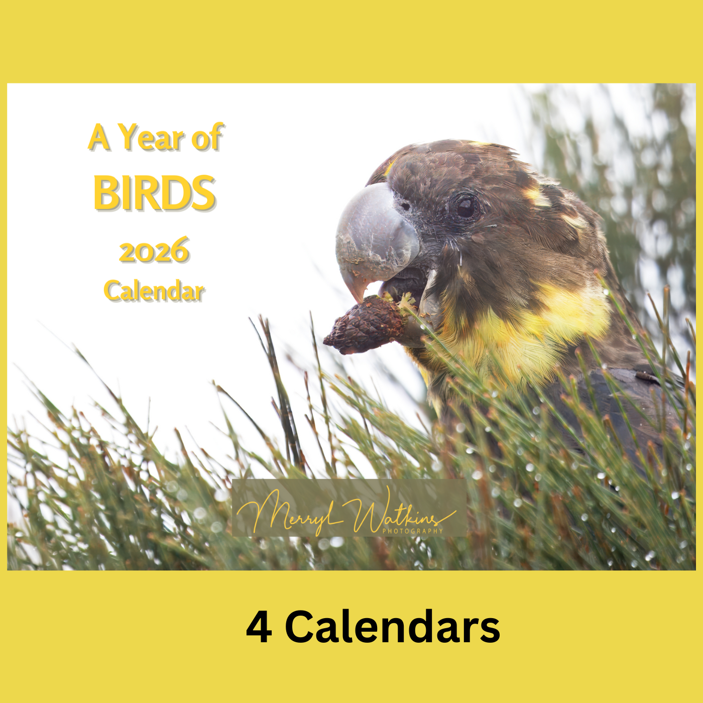 A Year of Birds 2026 - A4 Photographic Calendar