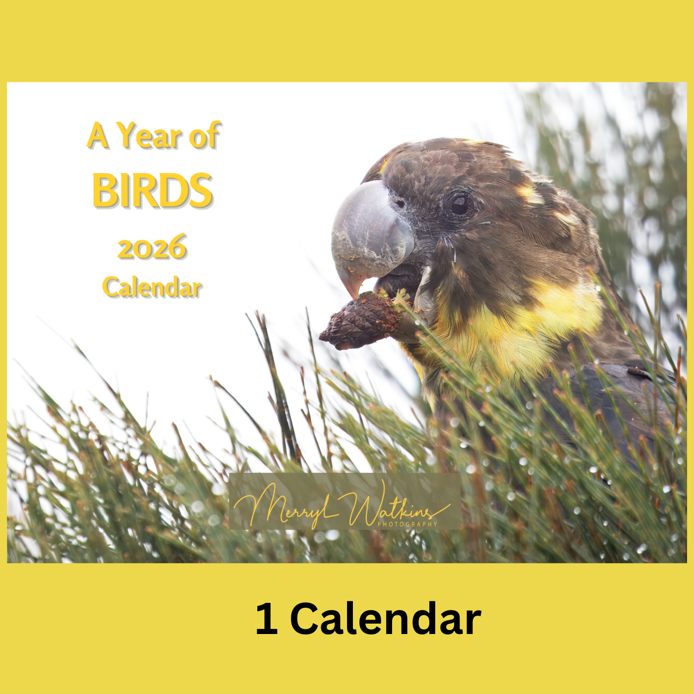A Year of Birds 2026 - A4 Photographic Calendar