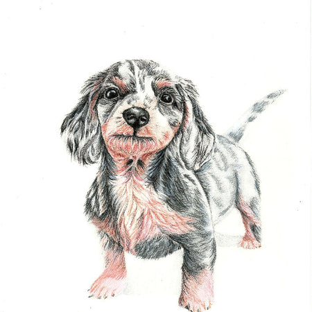 Pet Portrait A5 Colour pencil/pastels