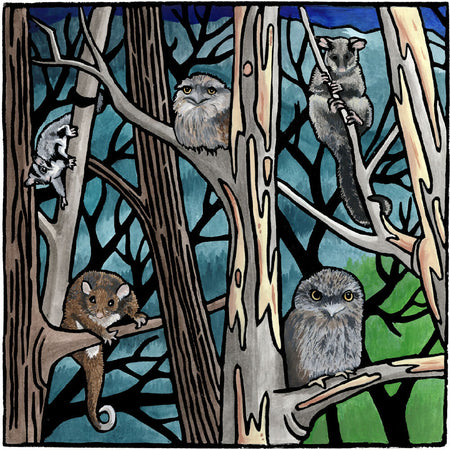 Frogmouths - Limited Edition Giclee Print