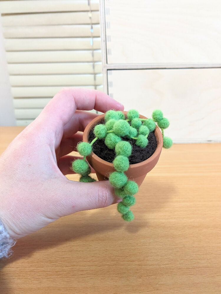 Needle Felted Succulent in Pot - String of Pearls