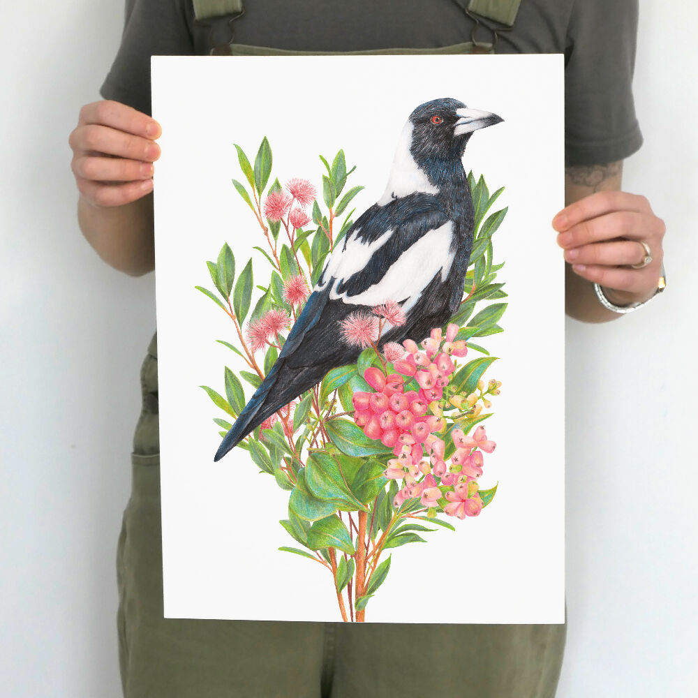 Australian Magpie Art Print