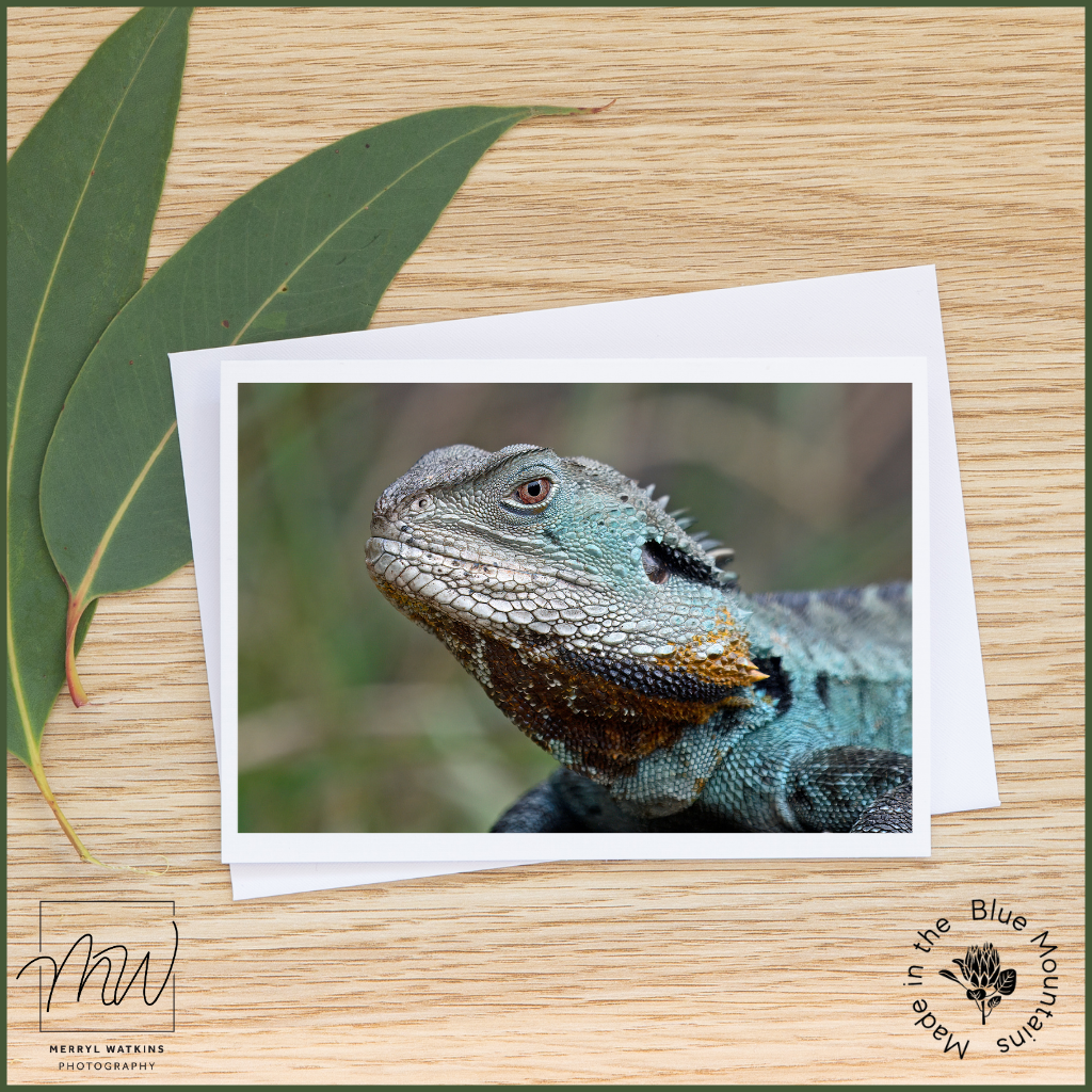 Blank Greeting Card - The Dragon (Gippsland Water Dragon)