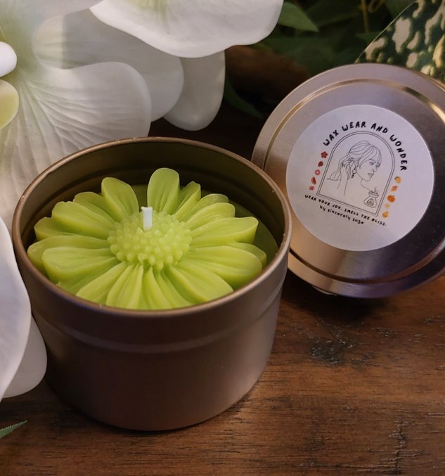Scented Soy Candles - Daisy Glow Collection