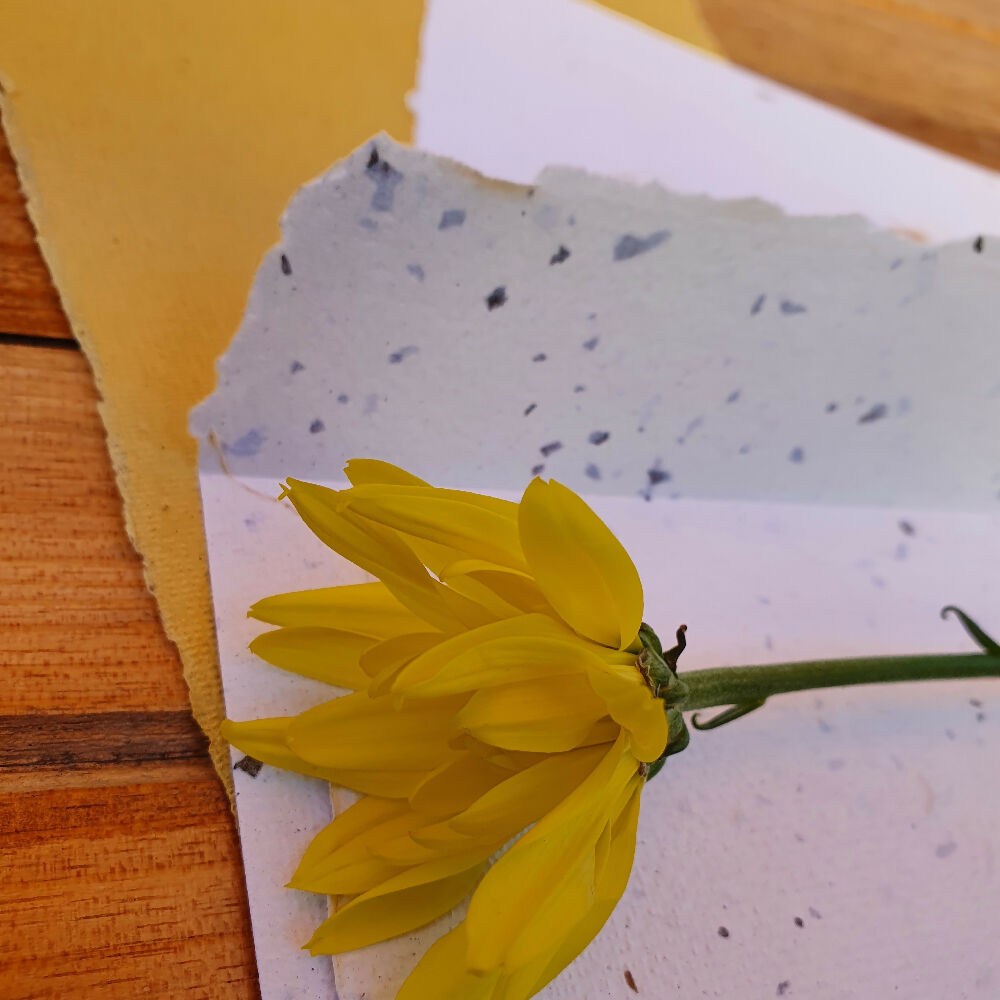 stationery peppermint envelope 4-edit-20240716154721