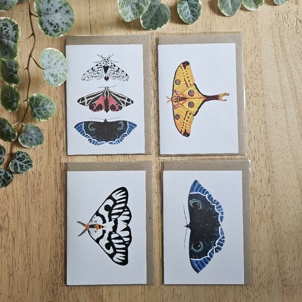 Watercolour Greeting Cards - Moths - Set of 4