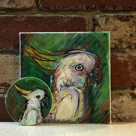 M𝐞𝐞𝐭 𝐦𝐲 𝐧𝐞𝐰𝐞𝐬𝐭 𝐜𝐨𝐜𝐤𝐚𝐭𝐨𝐨🌻 𝐩𝐨𝐫𝐭𝐫𝐚𝐢𝐭 set