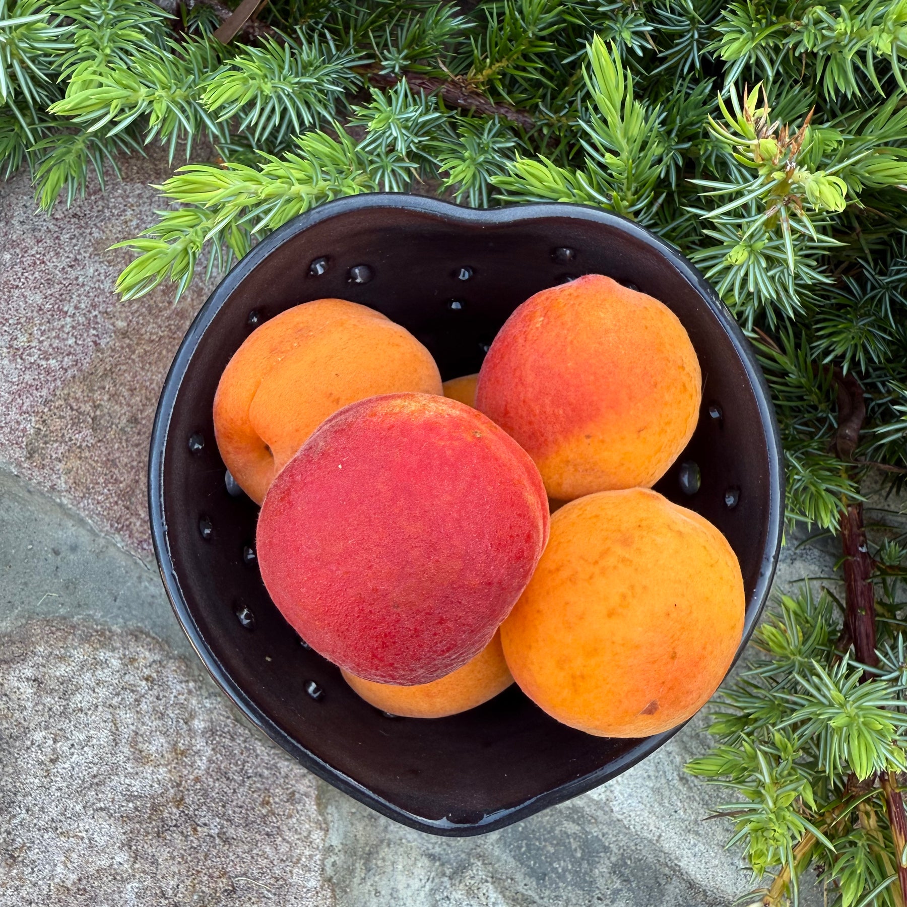 Handmade Berry Bowls | Pink and Lemon with Saucer | Black Clay Heart Rim | Blue Violet | Pink Heart Second