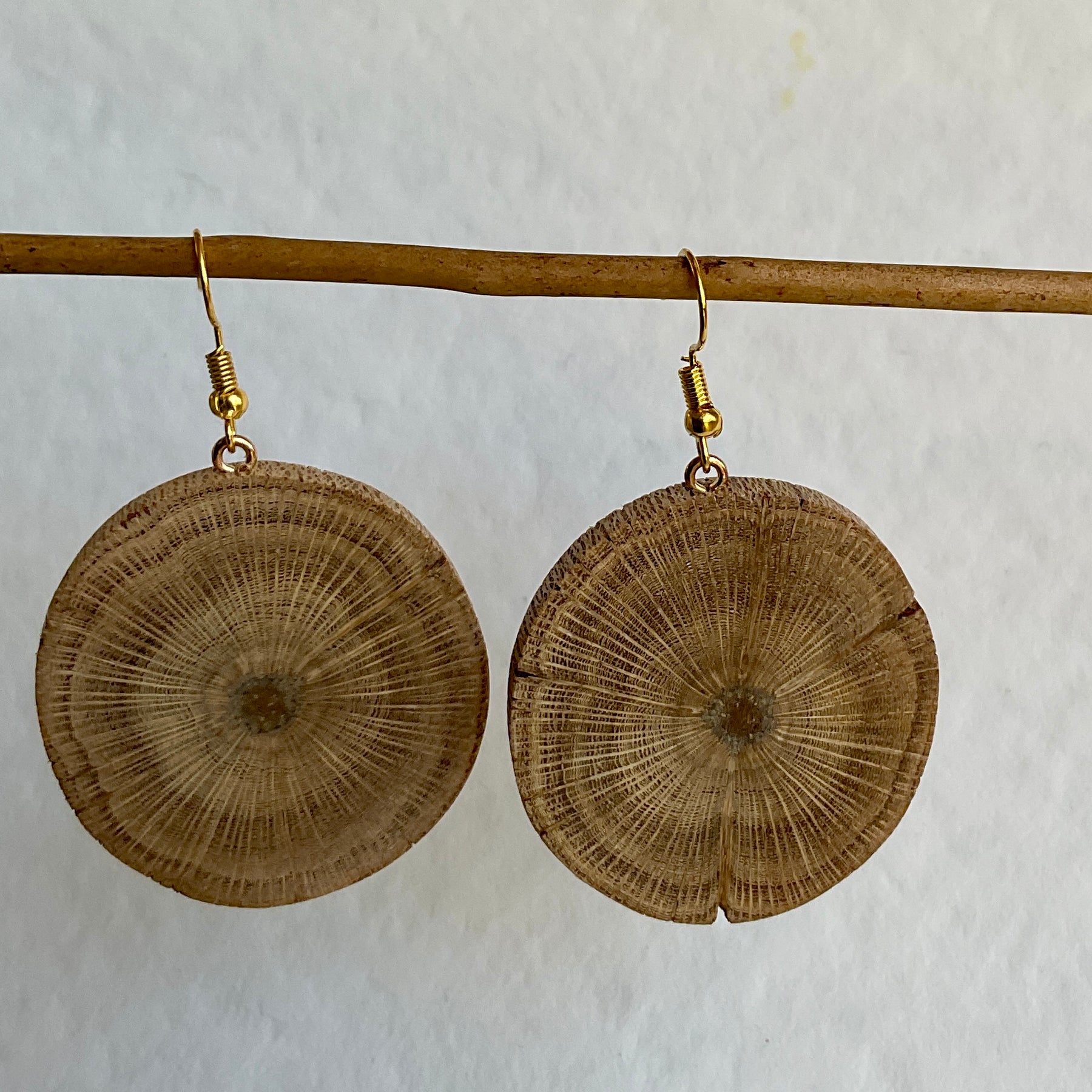 Unique Banksia Earrings Handmade from Recycled Timber