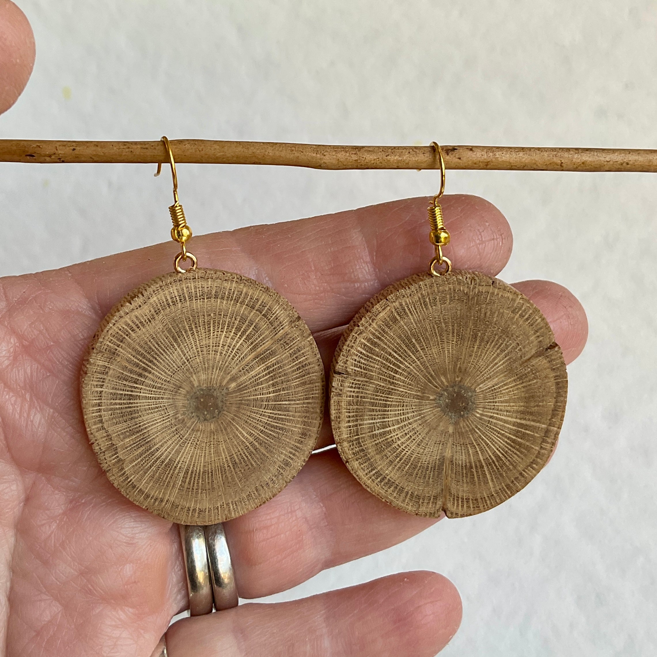 Unique Banksia Earrings Handmade from Recycled Timber