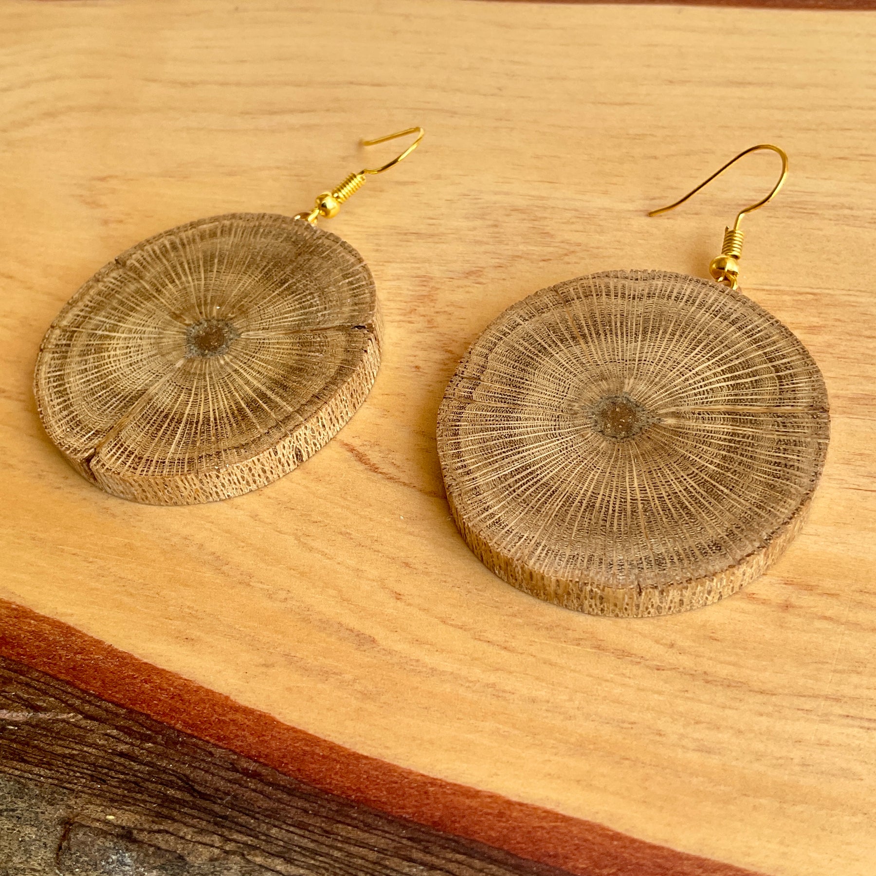 Unique Banksia Earrings Handmade from Recycled Timber