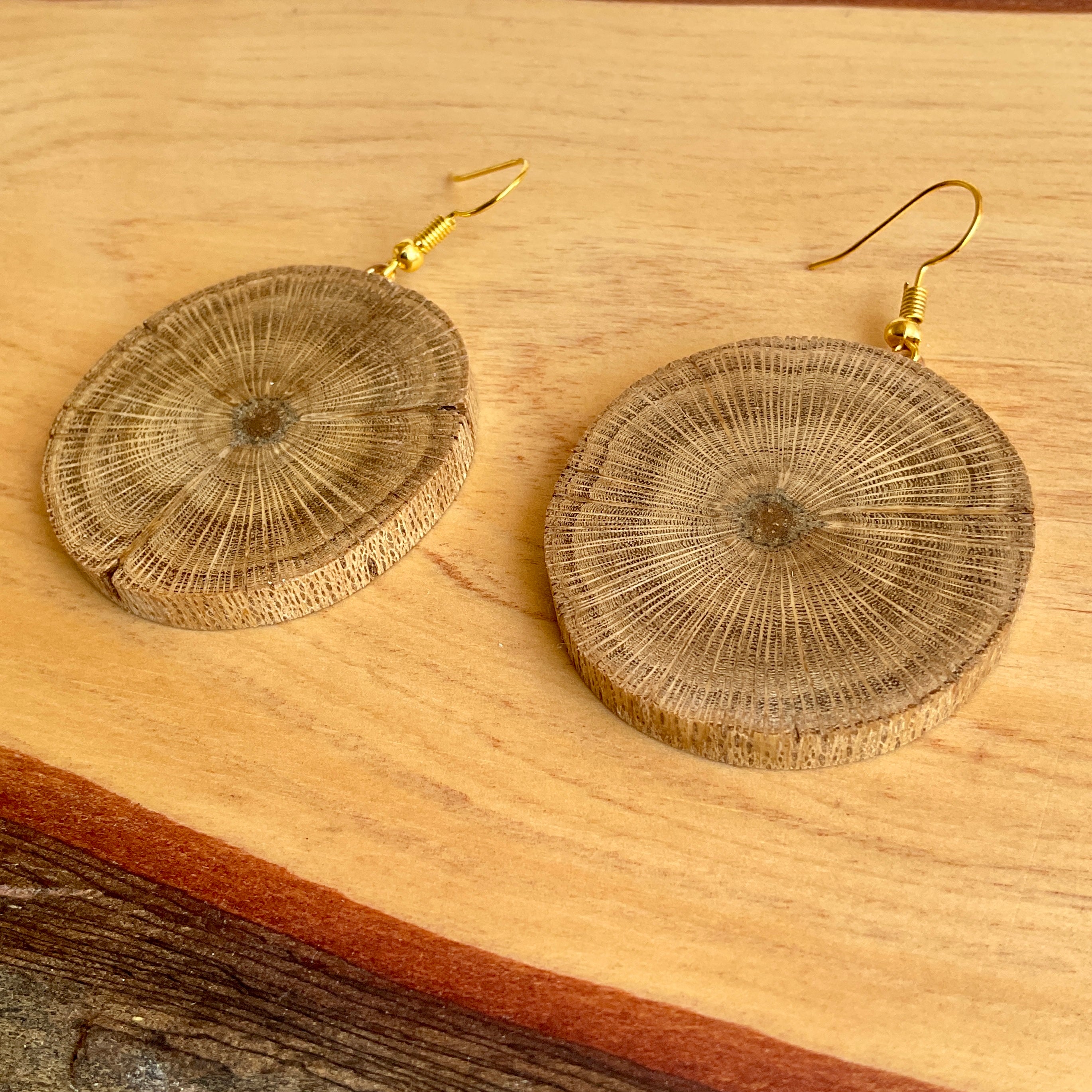 Unique Banksia Earrings Handmade from Recycled Timber