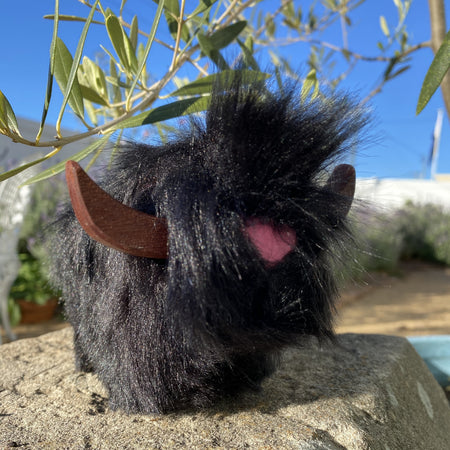 Highland Cow Black