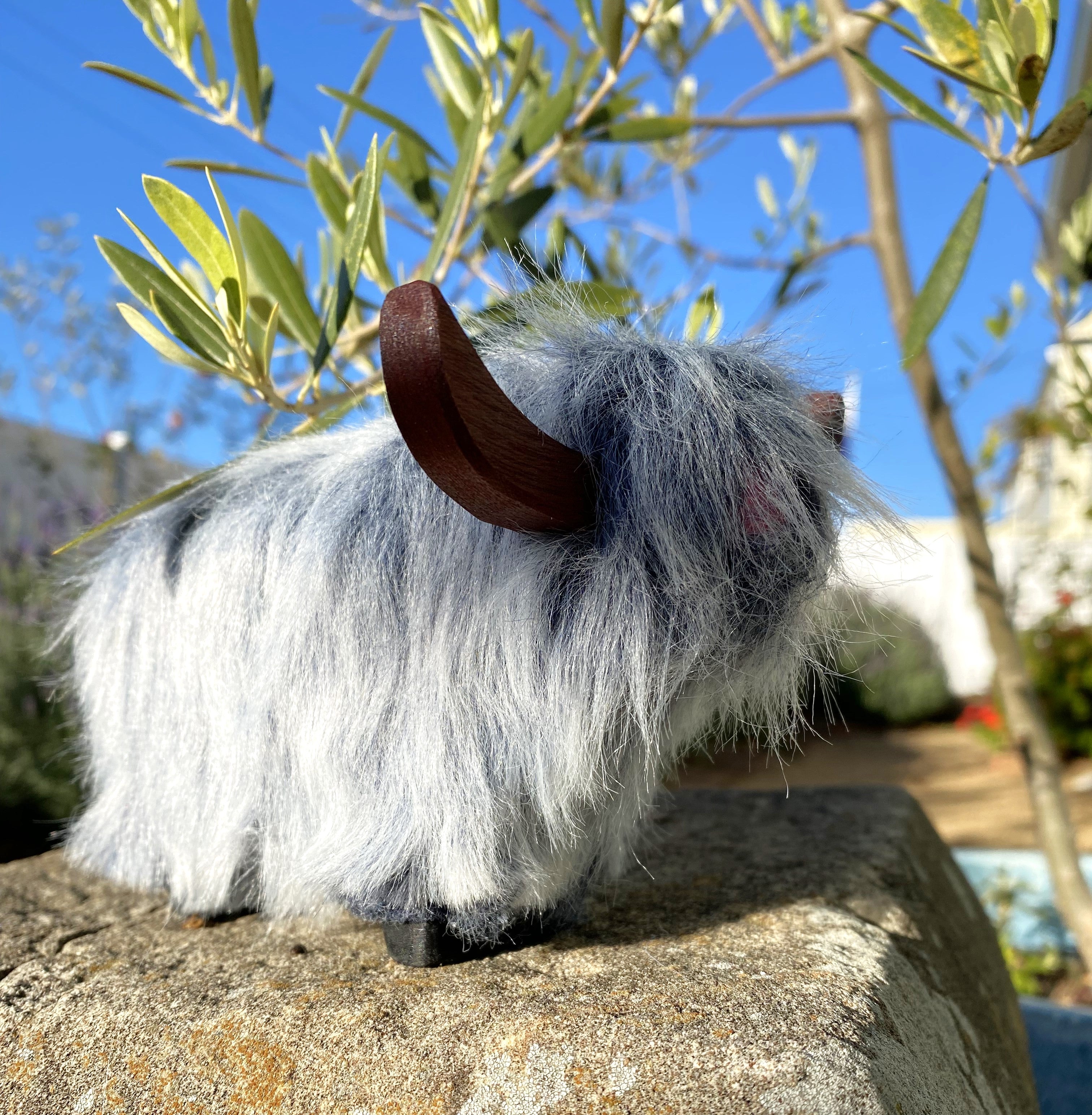 Highland Cow Blue Grey